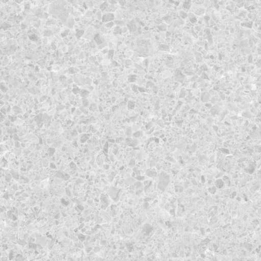 Rocks Ground Mixed 200x200 Roughness