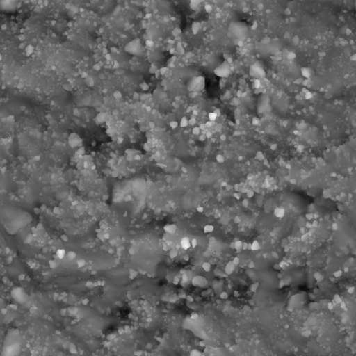 Rocks Ground Mixed 200x200 Height