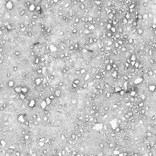 Rocks Ground Red 200x200 Ambient Occlusion