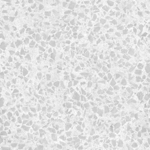 Rocky Road Grassy 200x200 Roughness
