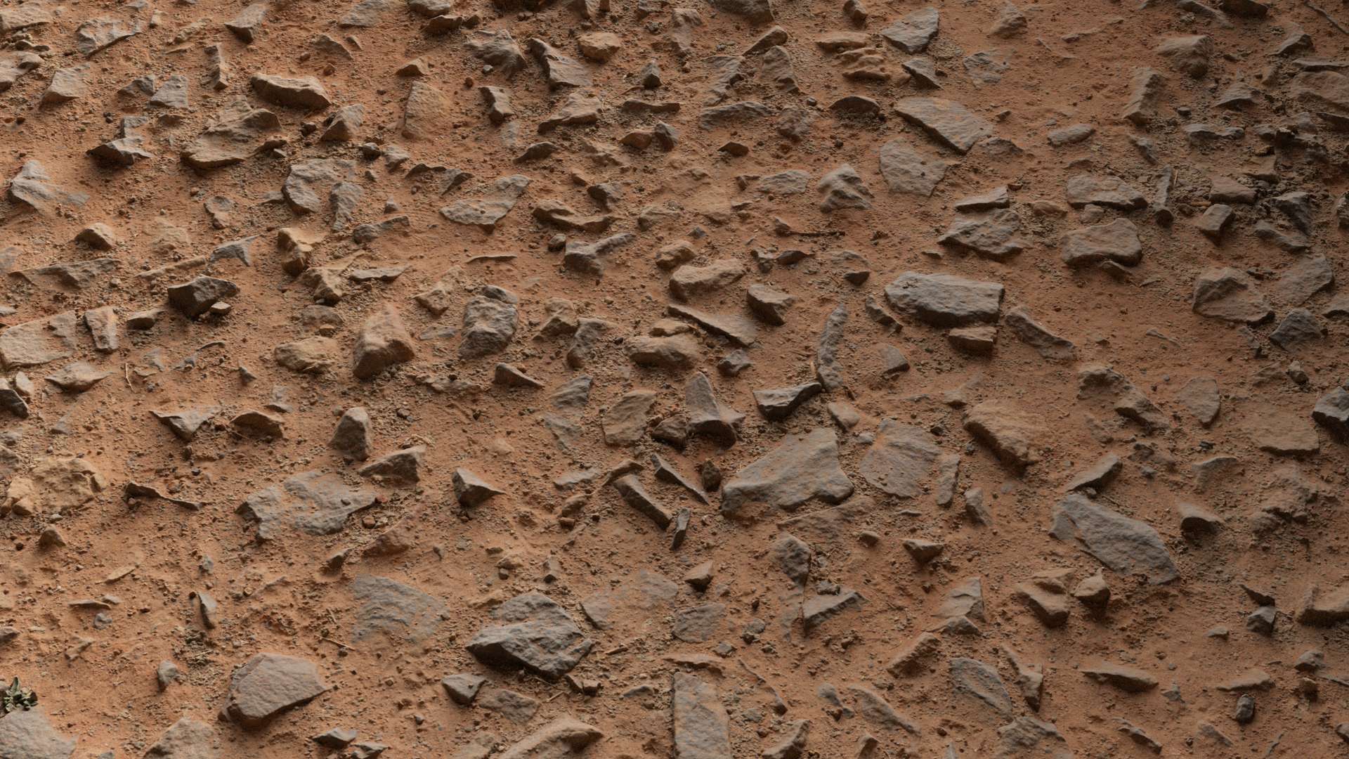 Rocky Road Sandy 250x250 Close Preview