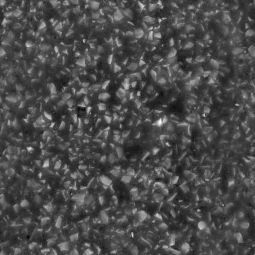 Rocky Road Sandy 250x250 Height