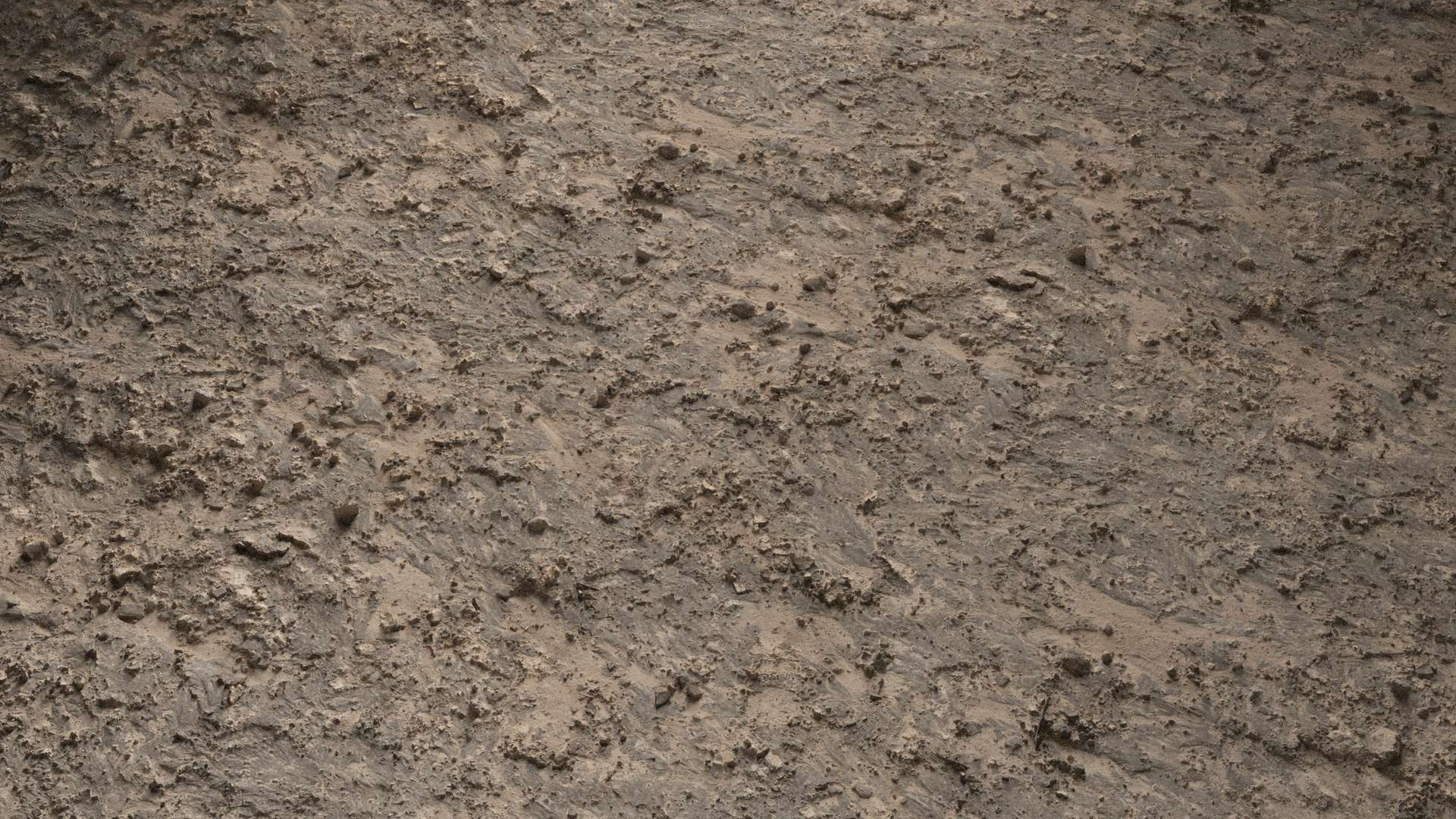 Sand Ground Dry 200x200 Wide Preview