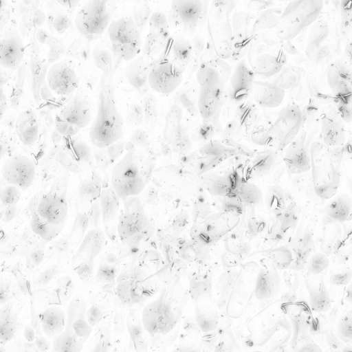 Sand Ground Footprints Leaves 200x200 Ambient Occlusion
