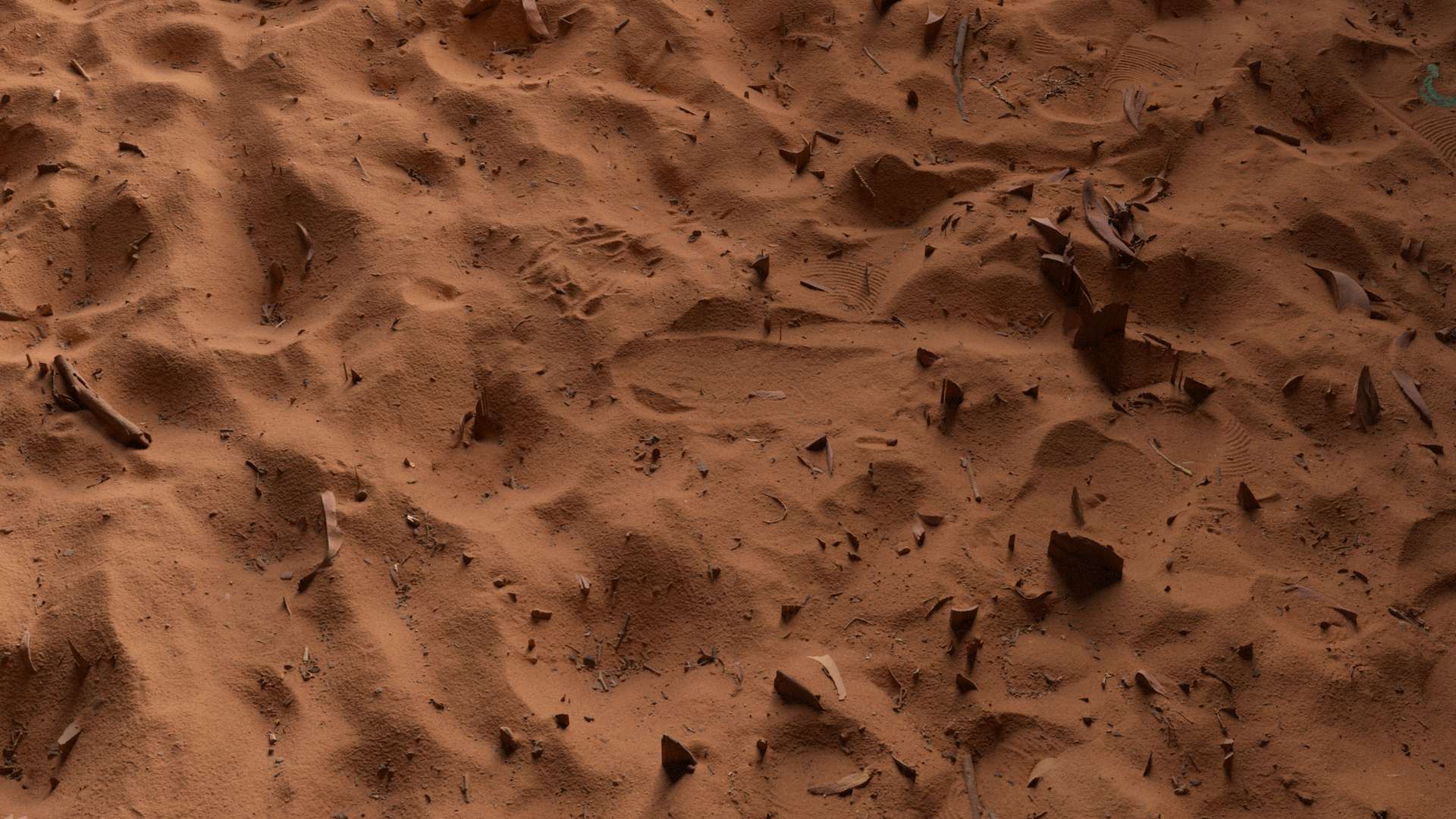 Sand Ground Footprints Leaves 200x200 Close Preview