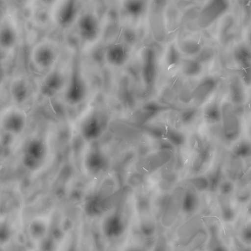 Sand Ground Footprints Leaves 200x200 Height