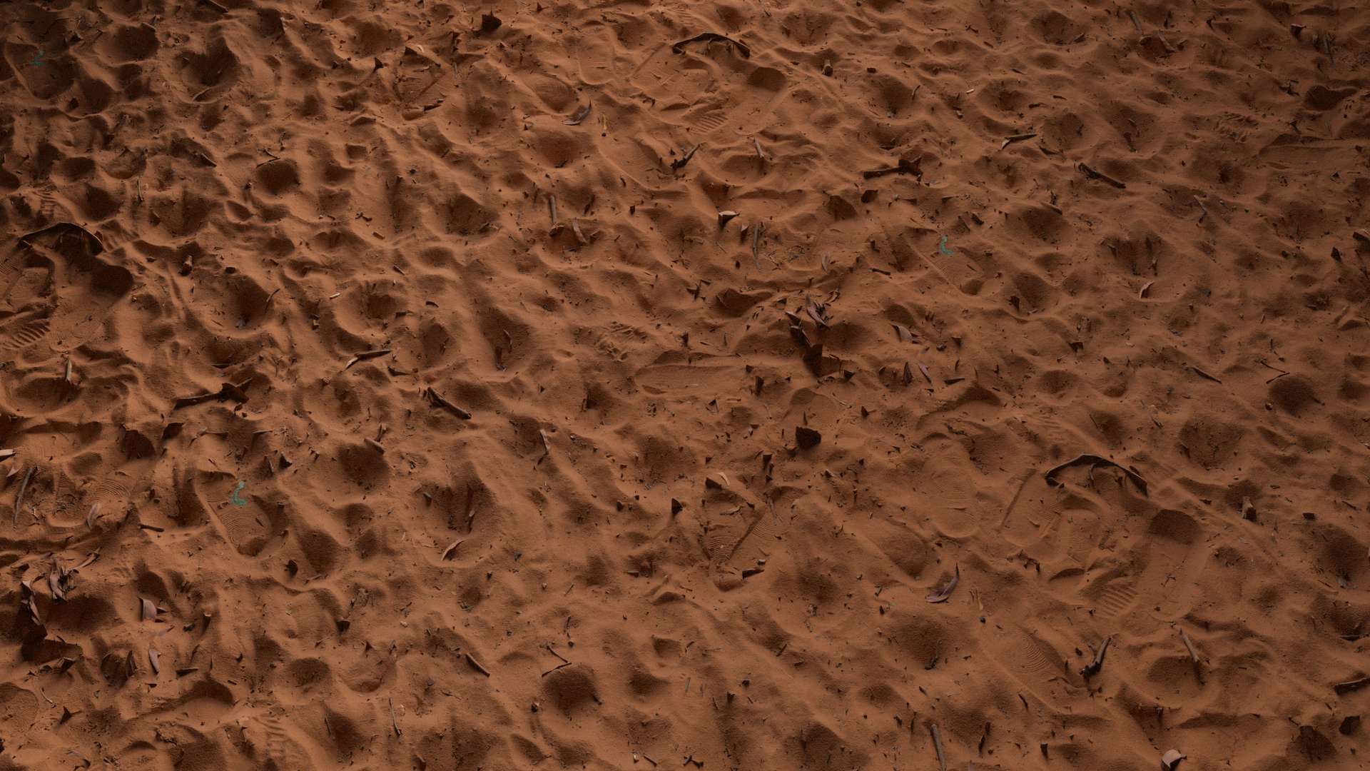 Sand Ground Footprints Leaves 200x200 Wide Preview