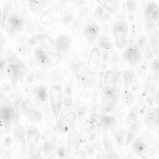 Sand Ground Footprints 200x200 Ambient Occlusion