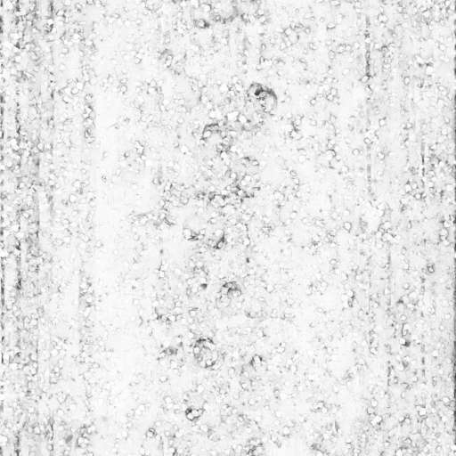 Sand Path Ground Leaves 250x250 Ambient Occlusion