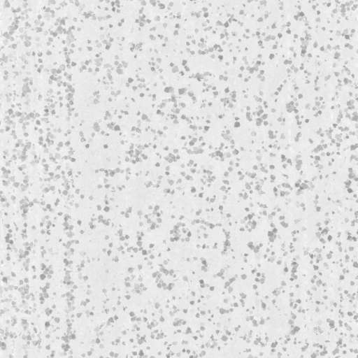 Sand Path Ground Leaves 250x250 Roughness