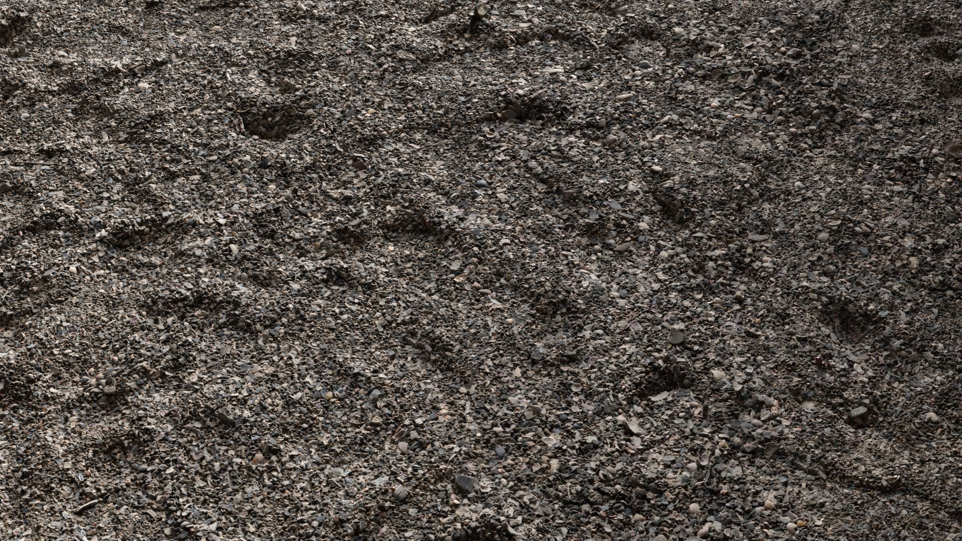 Sea Shells Ground 200x200 Close Preview