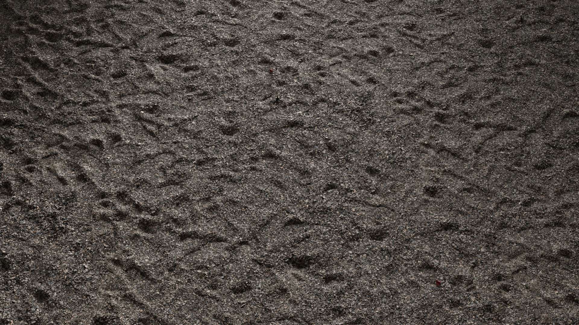 Sea Shells Ground 200x200 Wide Preview