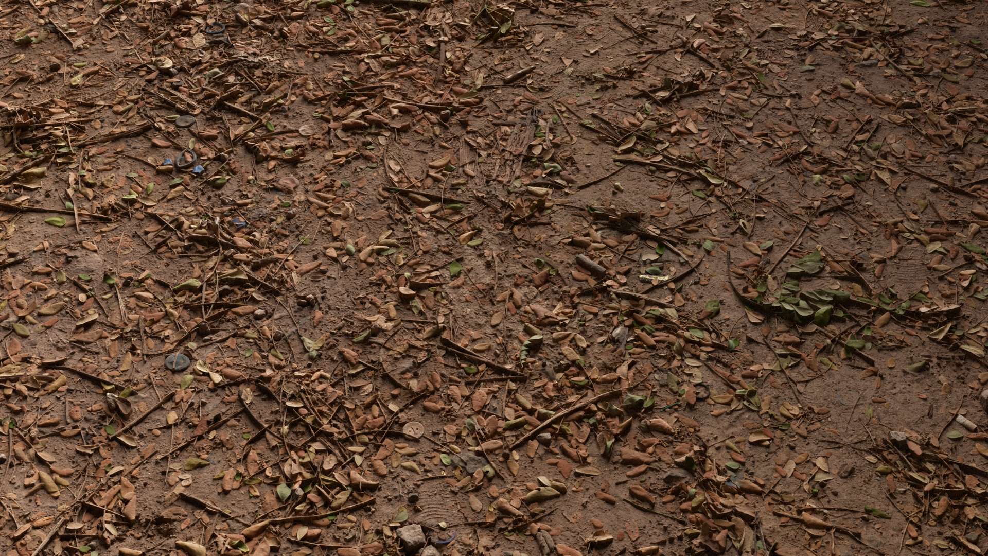 Soil Ground Leaves Mixed 150x150 Close Preview