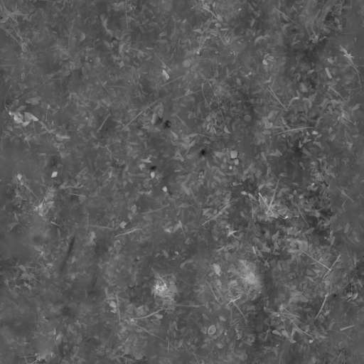 Soil Ground Leaves Mixed 150x150 Height
