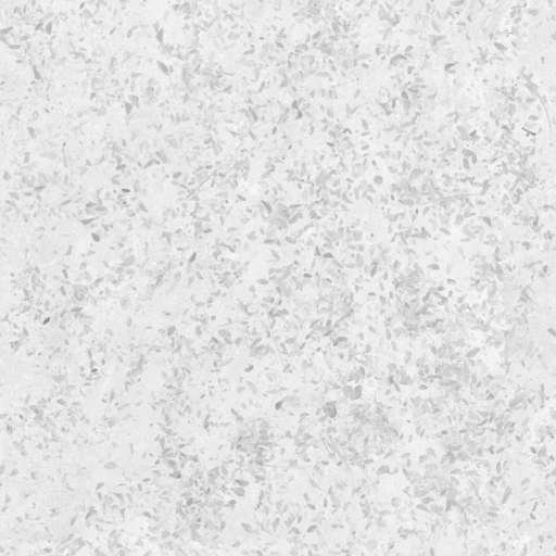 Soil Ground Leaves Mixed 150x150 Roughness