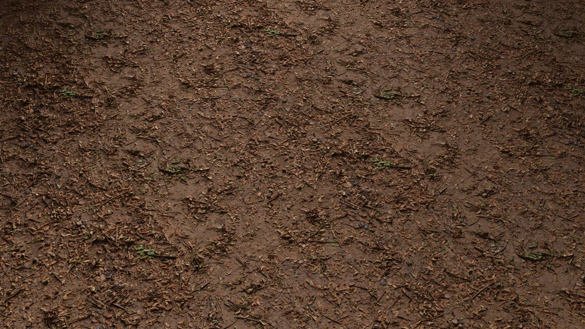 Soil Ground Leaves Mixed 150x150 Wide Preview