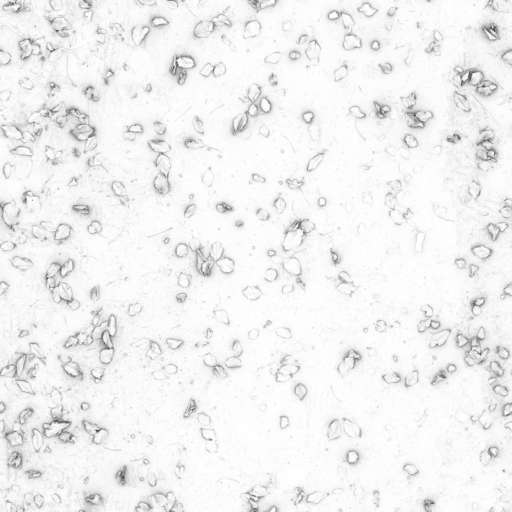 Soil Ground Leaves 200x200 Ambient Occlusion