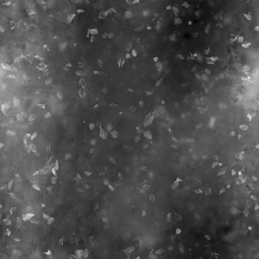 Soil Ground Leaves 200x200 Height