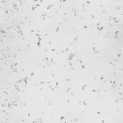 Soil Ground Leaves 200x200 Roughness