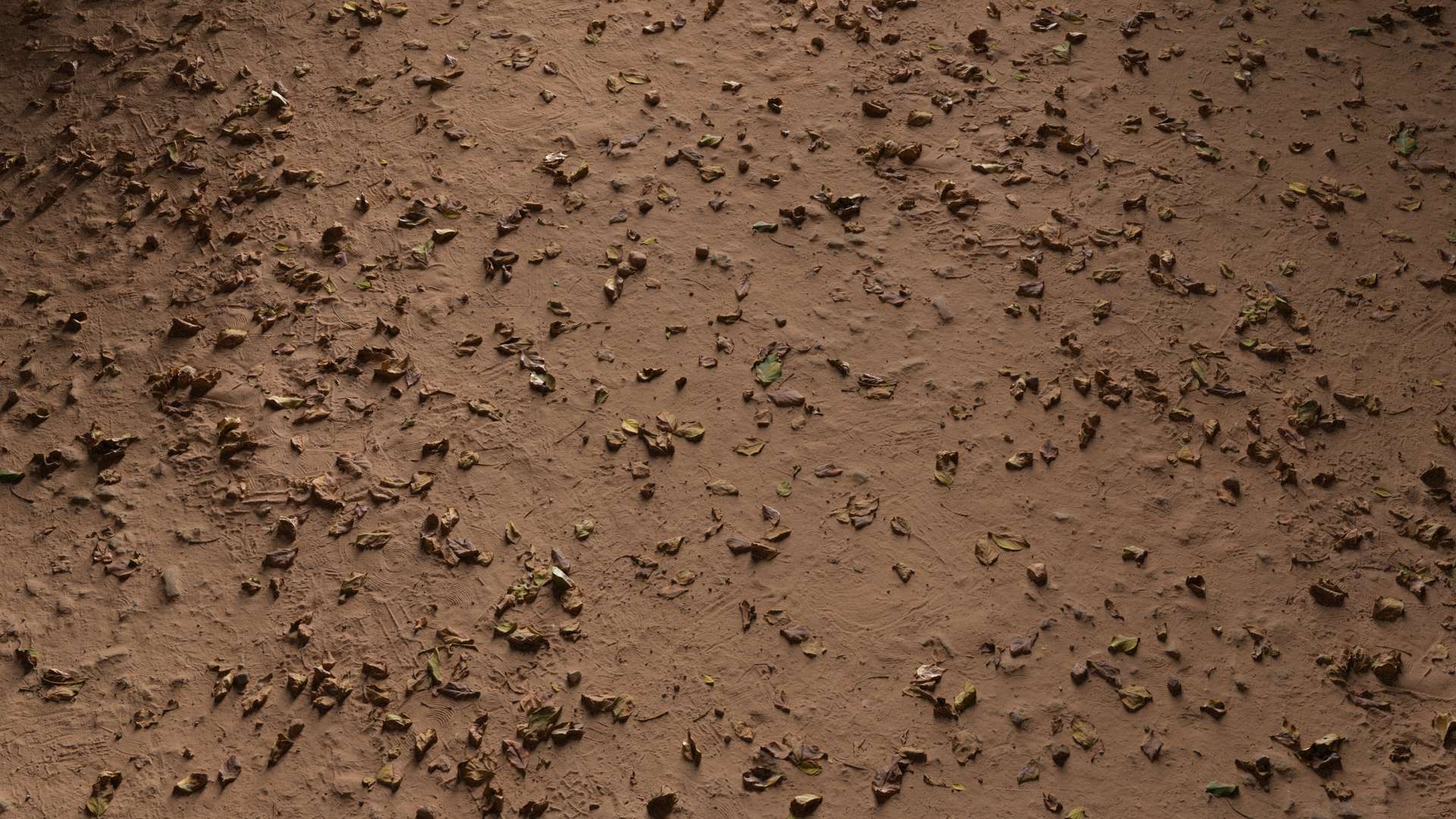 Soil Ground Leaves 200x200 Wide Preview