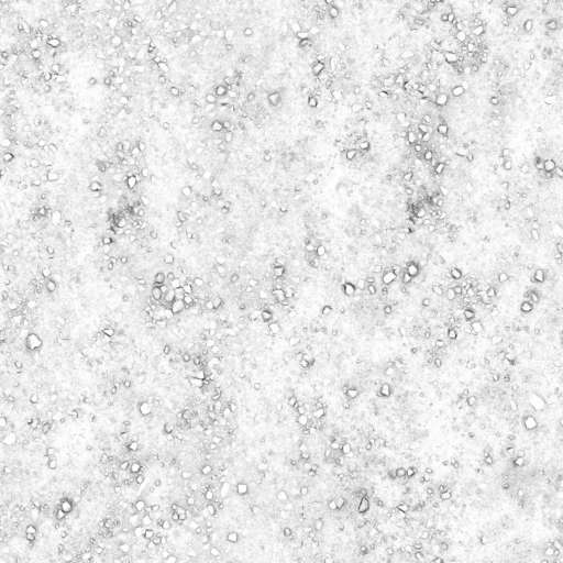 Soil Ground Rocky 200x200 Ambient Occlusion