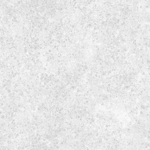 Soil Ground Rocky 200x200 Roughness