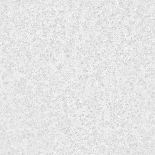 Soil Ground Rocky 200x200 Roughness