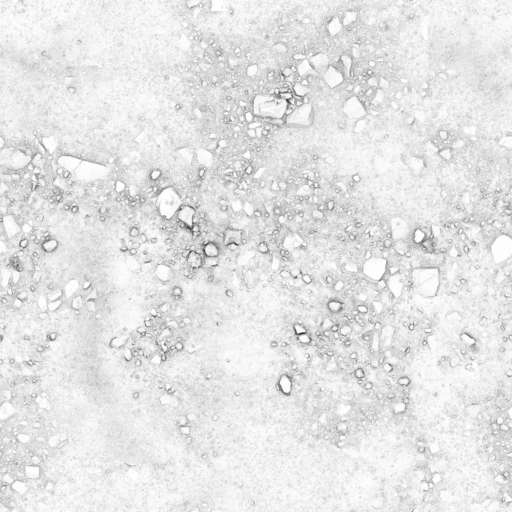Soil Ground Rough Rocky 200x200 Ambient Occlusion
