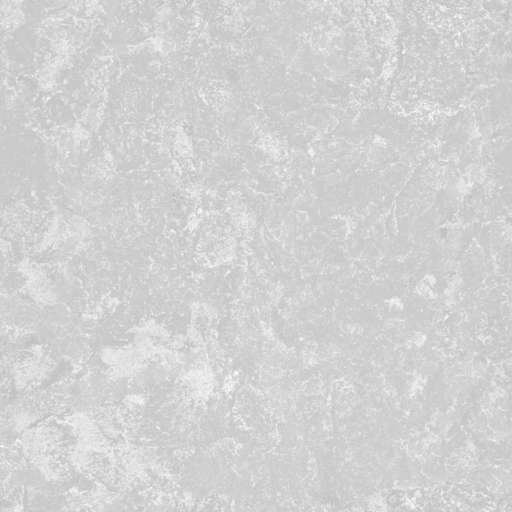 Stone Base Smooth Dark 200x200 Roughness