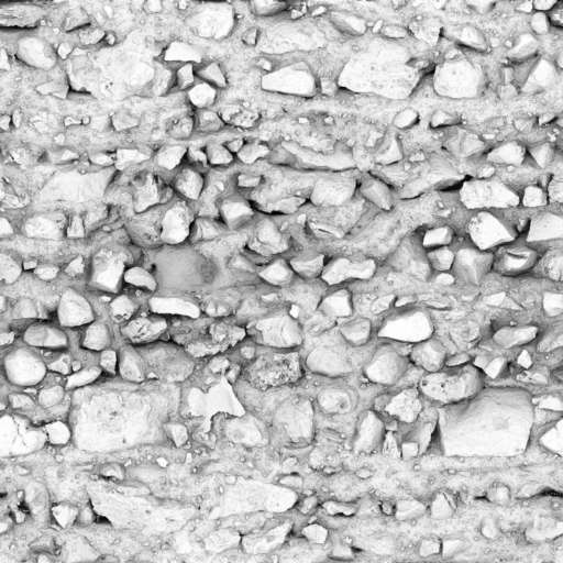 Stone Wall Old 200x200 Ambient Occlusion