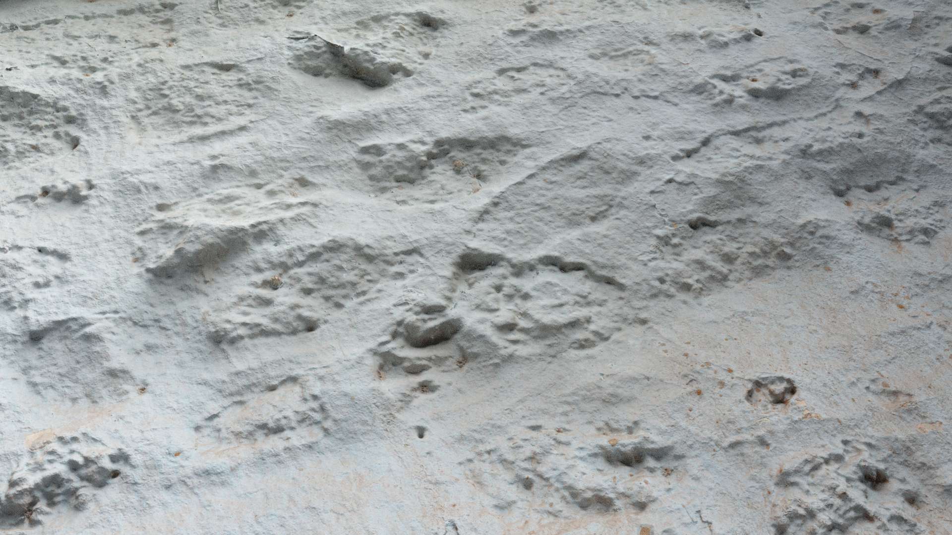 Stone Wall Painted White 200x200 Close Preview