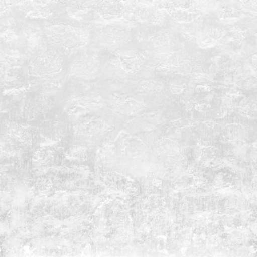 Stone Wall Painted White 200x200 Roughness