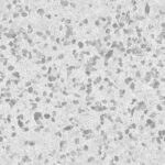 T016_TexxaryCom_Gravel_Ground_Leaves_2x2_Roughness_1K_Preview