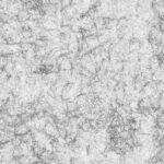T017_TexxaryCom_Forest_Ground_Pine_2x2_AO_1K_Preview