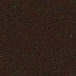 T017_TexxaryCom_Forest_Ground_Pine_2x2_Albedo_1K_Preview