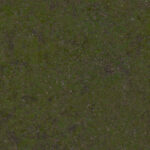 T024_TexxaryCom_Grass_Ground_Mixed_1x1_Albedo_1K_Preview