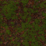 T027_TexxaryCom_Forest_Ground_Mossy_2x2_Albedo_1K_Preview