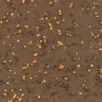 T064_TexxaryCom_Sand_Ground_Leaves_Dog_Footprints_2x2_Albedo_1K_Preview