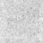 T020_TexxaryCom_Gravel_Ground_Grass_2x2_AO_1K_Preview