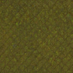 T071_TexxaryCom_Roof_Kite_Old_Mossy_4x4_Albedo_Preview