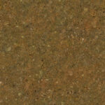 T090_TexxaryCom_Sandstone_Cliff_Wall_Seashells_2x2_Albedo_Preview